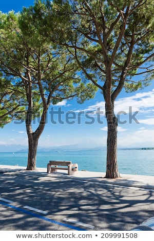 Foto stock: Pedestrian Alley On The Banks Of Garda Lake