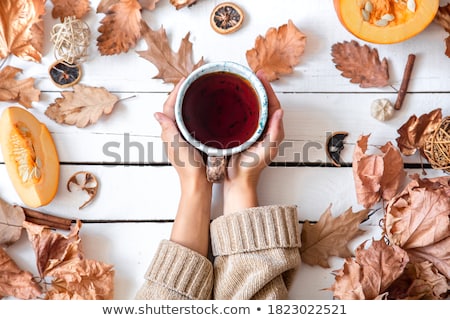 Stockfoto: Autumn Day