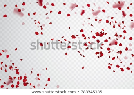 Foto stock: Red Petals