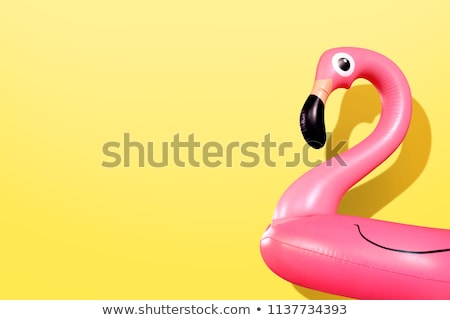 Сток-фото: Girl On Inflatable Pink Flamingo
