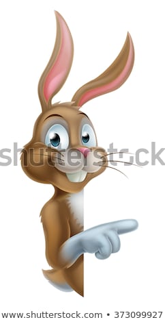 Foto d'archivio: Easter Bunny Rabbit Pointing Cartoon At Sign