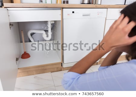 [[stock_photo]]: Woman Looking At Leaking Sink Pipe In Kitchen