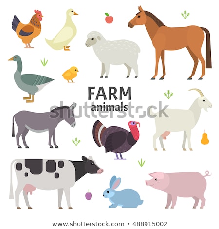 Stock photo: Set Of Farm Element