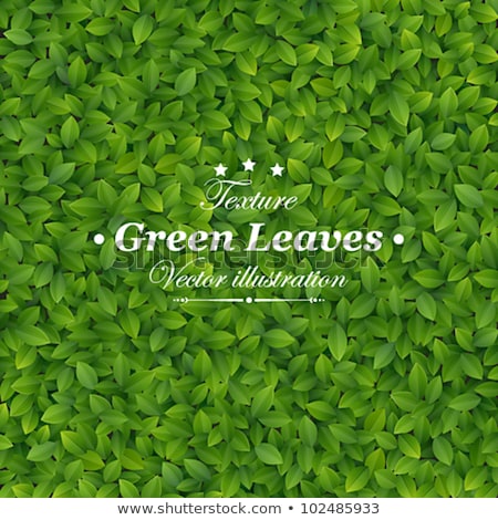 Stock photo: Ecology Green Background For Eco Friendly Covers