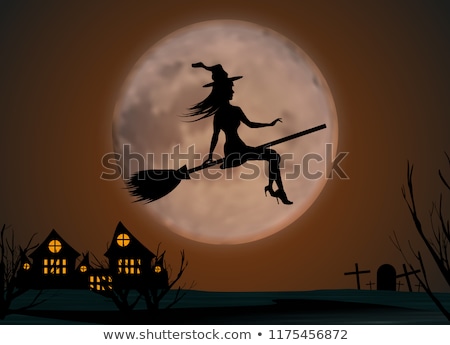 Foto stock: Halloween Witch And Moon Vector Illustration