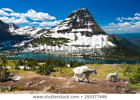 Stock fotó: Glacier National Park Logan Pass Usa