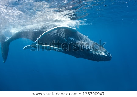 Foto stock: Canada And Turks And Caicos Islands