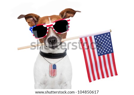 [[stock_photo]]: Fourth Of July Independence Day Dog
