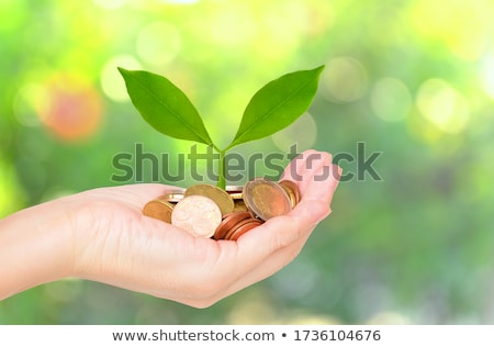 Stockfoto: Euro Funds For Agriculture