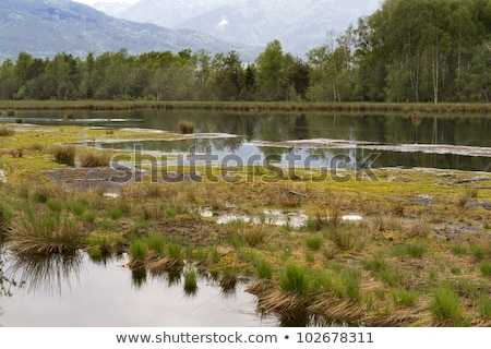 Stock photo: The Nicklheim Upland Moor In Southern Bavaria Germany