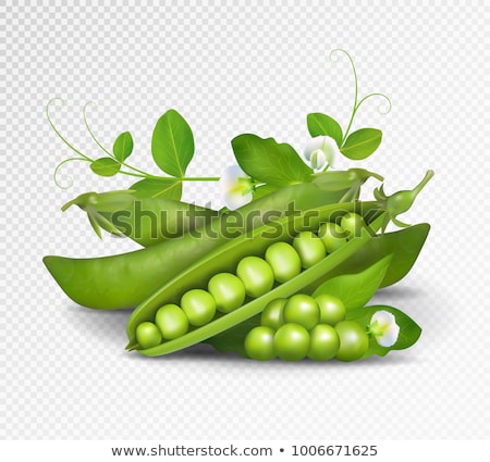 Zdjęcia stock: Green Peas On White Background Vector Illustration