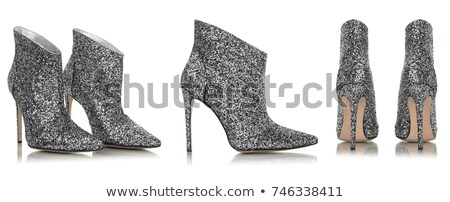 Stock photo: Silvery Leather Bag And Pair Of The Loafer