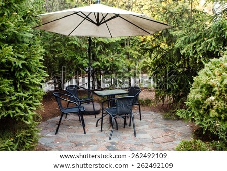 Foto stock: Backyard With Pine Trees And Metal Table With Chairs