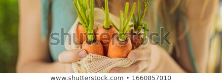 Stock foto: Carrot In A Reusable Bag In The Hands Of A Young Woman Zero Waste Concept