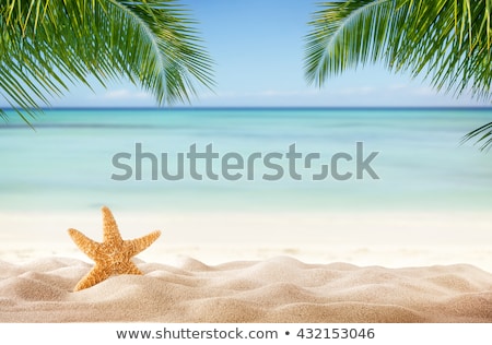 Stock photo: Seashells On Beach Sand