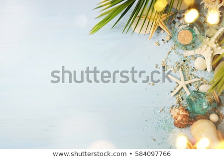 Zdjęcia stock: Sea Shells On Beach Towel