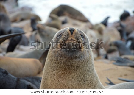 Foto stock: Sealed With A Kiss