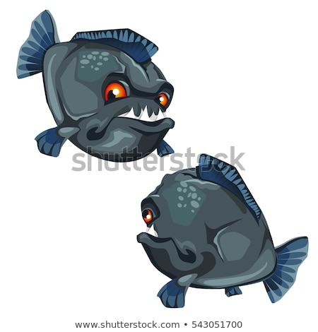 Piranha Cartoon Character Isolated On White Background Vector Il Foto stock © lady-luck