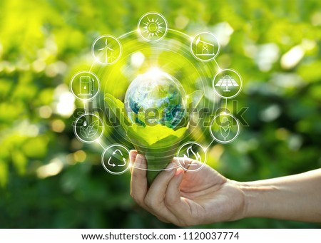 Foto stock: Sustainable Environment Saving Environmental Sustainability In Ecosystem International Day Of Fore