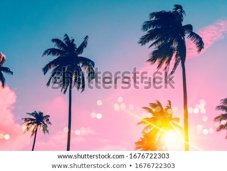 Stock photo: Palms And Water