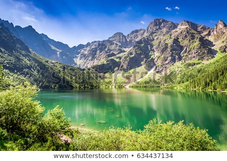 Stok fotoğraf: Pond In Mountains At Summer