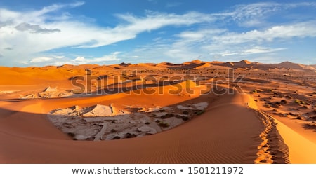 Beautiful Sunrise Landscape Of Hidden Dead Vlei Zdjęcia stock © Artush