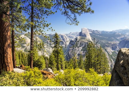 ストックフォト: Tuolumne Meadows In Summer Yosemite National Park