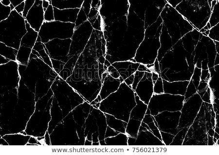 Сток-фото: White Black Marble Seamless Texture