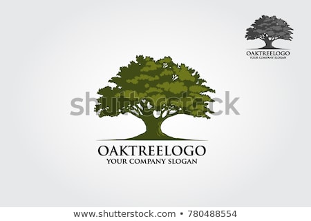 Stock fotó: Green Park With Oak Trees