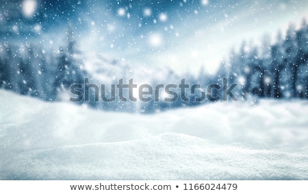 Foto stock: Snow In The Forest
