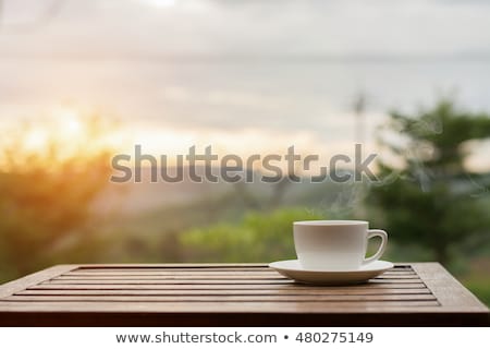 Stockfoto: Cup Of Tea In The Garden