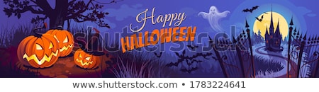 Stok fotoğraf: Vector Illustration On A Halloween Theme