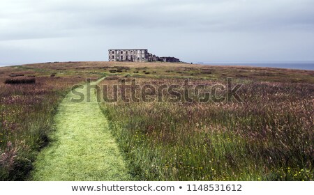 Foto stock: Old Country Manor On A Hill