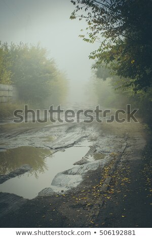 Stock fotó: Toned Photo Of An Old Tree With Large Hole