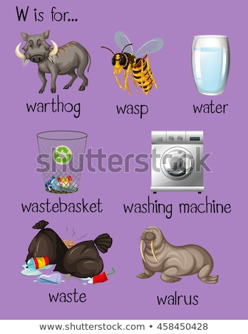 Stok fotoğraf: Flashcard Letter W Is For Washing Machine