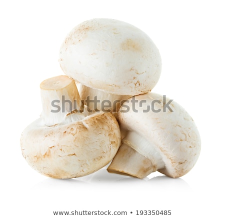 Сток-фото: White Button Mushroom