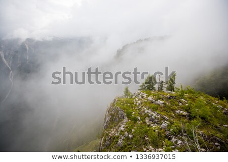 Stockfoto: Fog Over Bohinj Valley Lake Aerial View