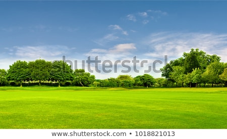 Stockfoto: Roen · landschap · met · bomen