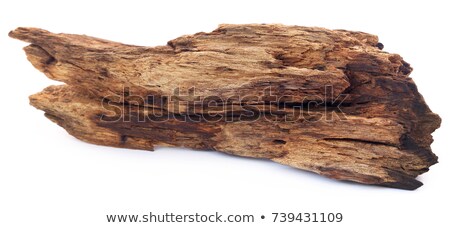 Zdjęcia stock: Natual Driftwood