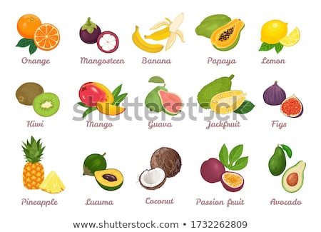 [[stock_photo]]: Guava Pineapple Guavas Exotic Juicy Fruit Vector