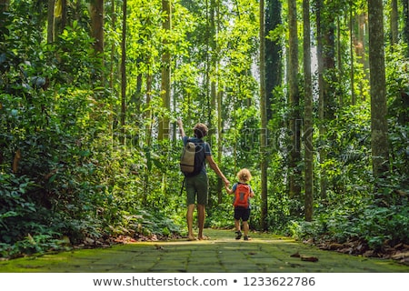 Foto stock: Dad And Son Travelers Discovering Ubud Forest In Monkey Forest