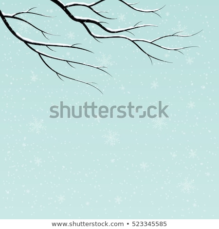 Foto d'archivio: Frozen Winter Trees Branch