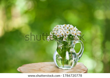 [[stock_photo]]: Glass Jug