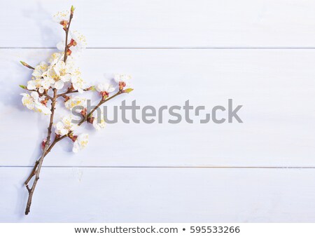 Сток-фото: Grunge Frame With Bunch Of Flower On The Wooden Background