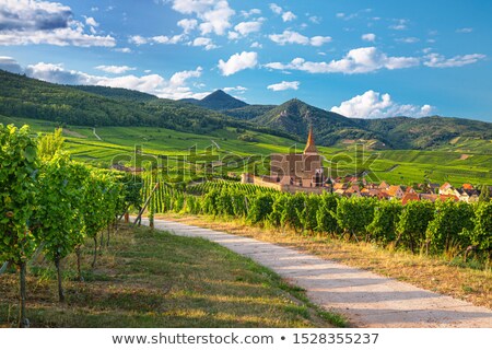 Stock fotó: Village In The Vineyard