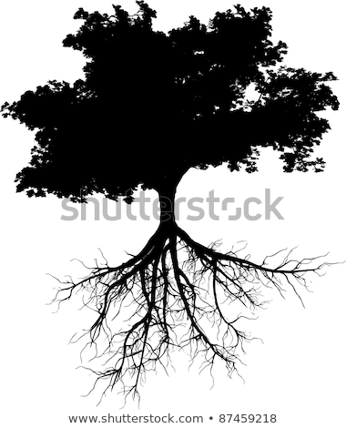 Set Of Plant And Tree With Its Silhouette Stockfoto © cla78