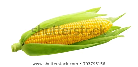 Stok fotoğraf: Yellow Corn On A White Background