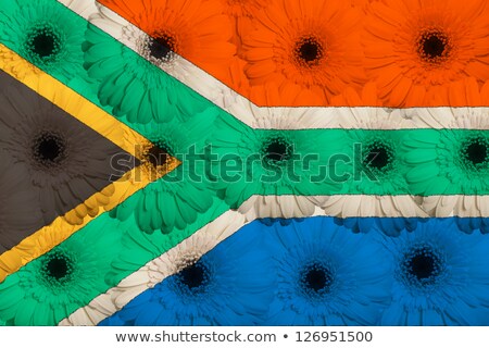 Stylized National Flag Of South Africa With Gerbera Flowers [[stock_photo]] © vepar5