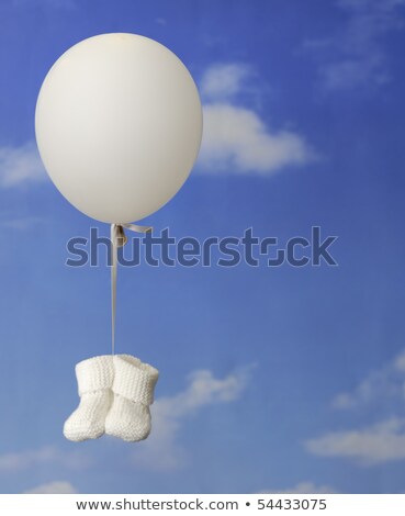 Foto stock: Otines · de · bebé · blancos · contra · un · cielo · azul