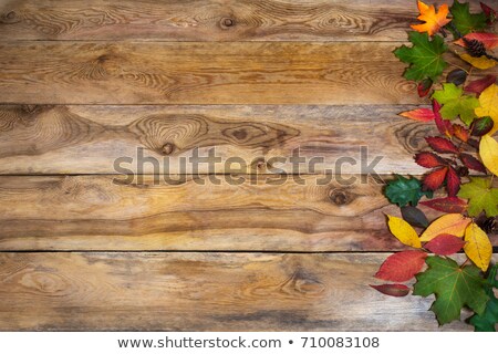 Side Border Of Ornamental Autumn Gourds [[stock_photo]] © TasiPas